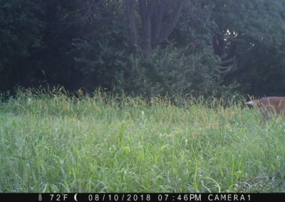 2018 Trailcam | Trophy Buck Outfitters